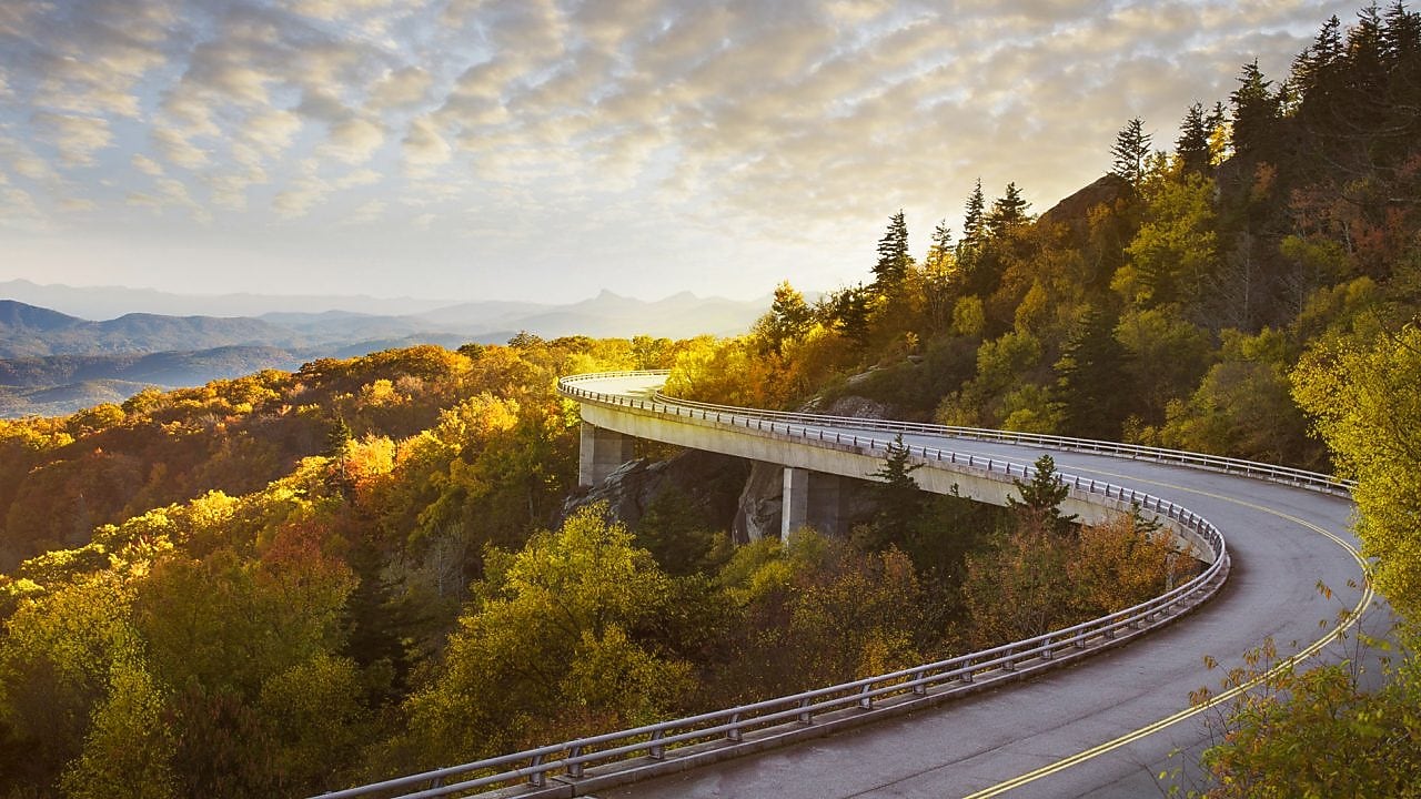 Vista aérea de un camino en medio de un bosque, al atardecer.
