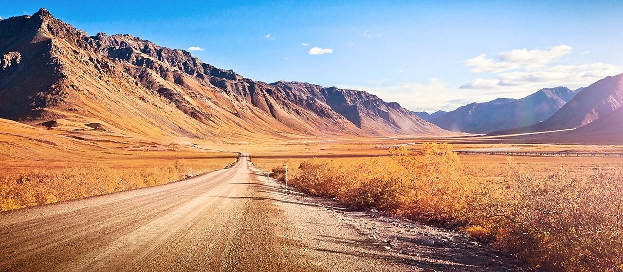 Camino en medio de un desierto, con vegetación típica y montañas de fondo
