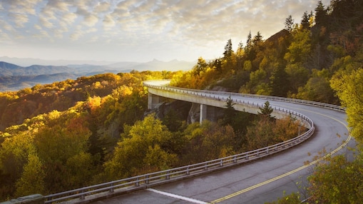 Imagen aérea de la carretera en medio del bosque, con la puesta de sol al fondo