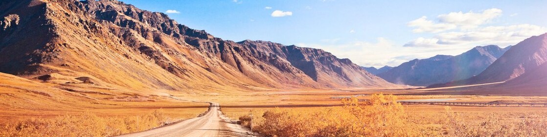 Camino en medio de un desierto, con vegetación típica y montañas de fondo