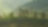 Coffee Plant Field Landscape