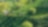 Coffee Plant Field Landscape