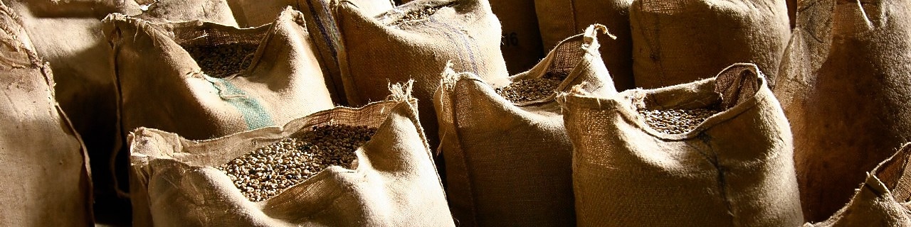 Roasted Beans in bags