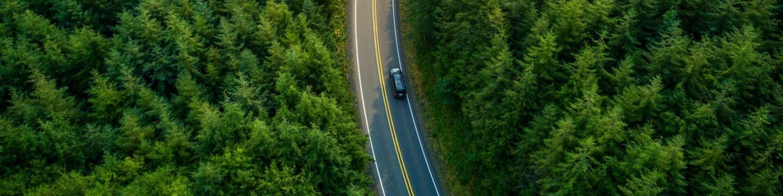 Pista de coches en medio de un bosque con un solo coche en movimiento