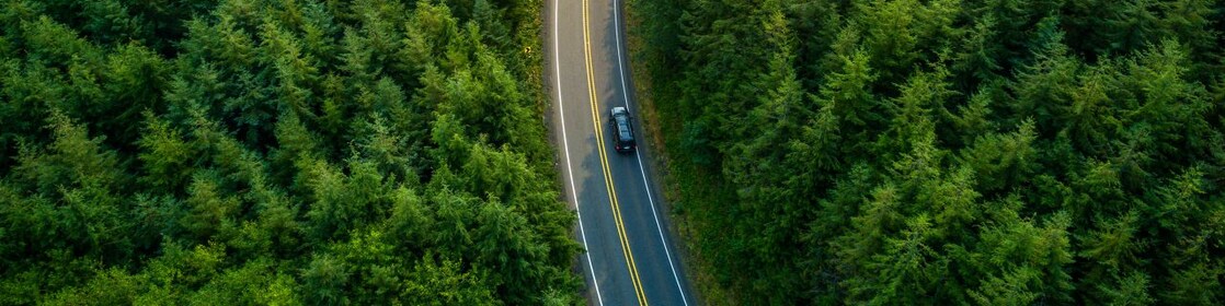 Pista de coches en medio de un bosque con un solo coche en movimiento